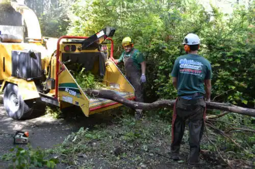 tree services Bethel Island